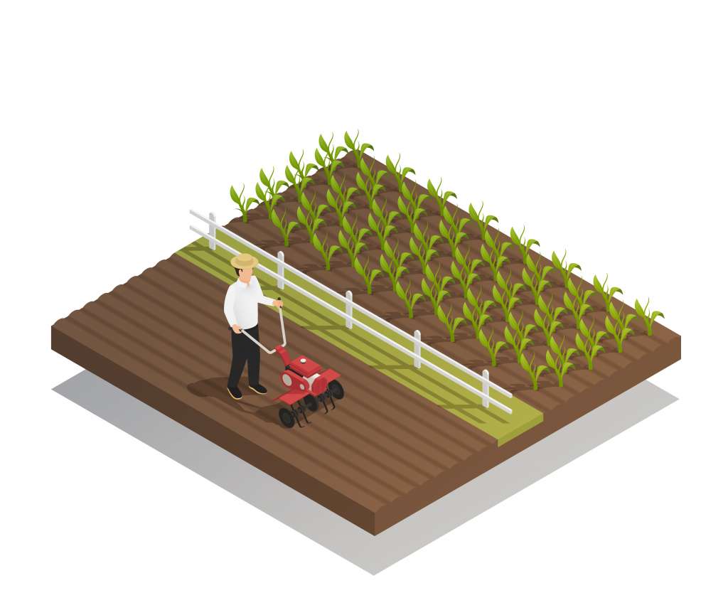 Fazenda e produção agrícola