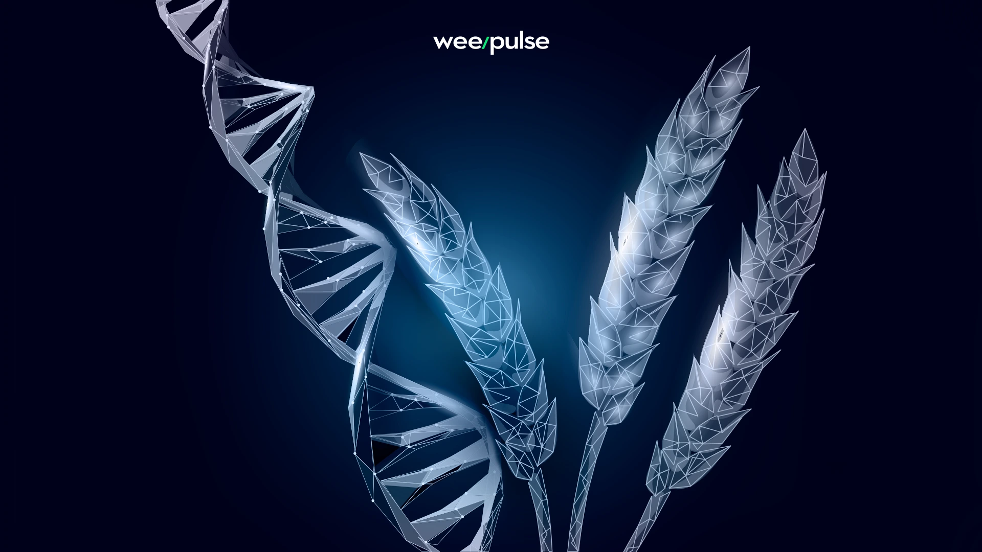 Imagem de capa do post Veja como a tecnologia de alimentos aumenta os resultados da sua empresa