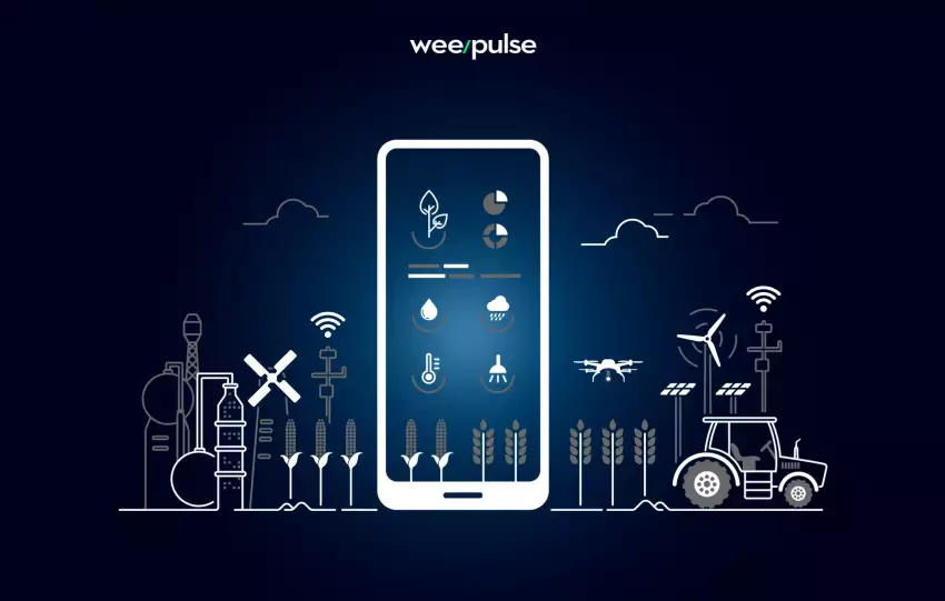 Celular mostrando um aplicativo que gerencia processos de agricultura